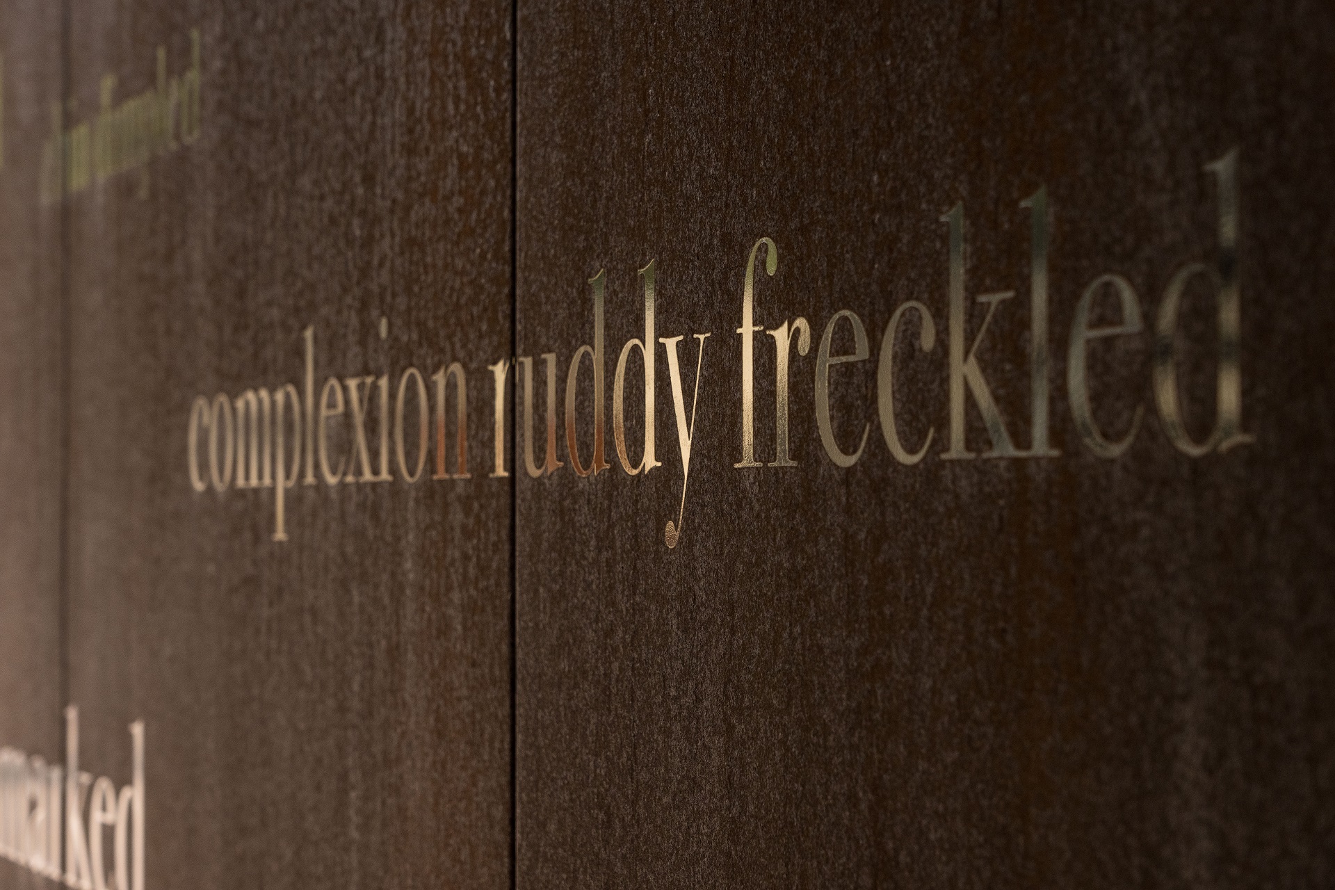 descriptions of inmates on wall | Cascades Female Factory | Historic Site Australia